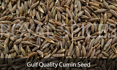 Gulf Quality Cumin Seed