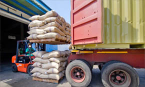 Import Cumin Seed from India