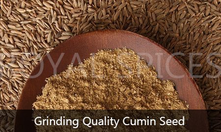 Grinding Quality Cumin Seed
